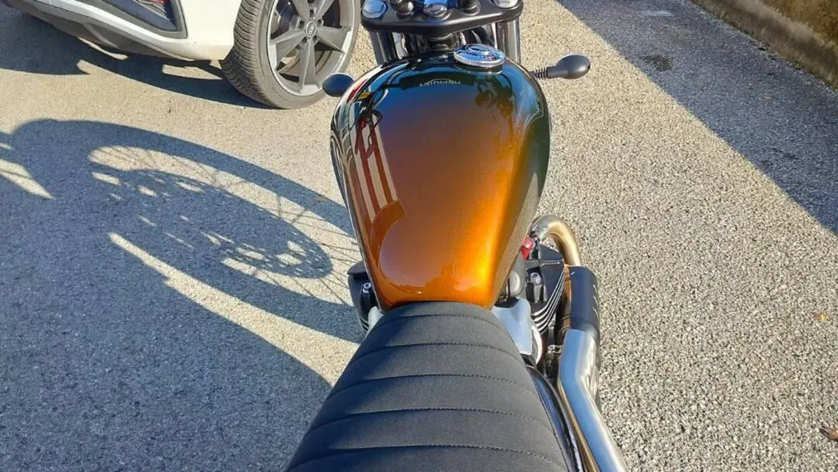 Triumph Scrambler 900 Stealth Edition (2024)  (18)