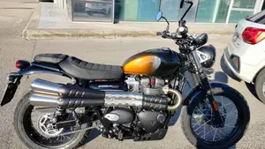 Triumph Scrambler 900 Stealth Edition (2024)  (19)