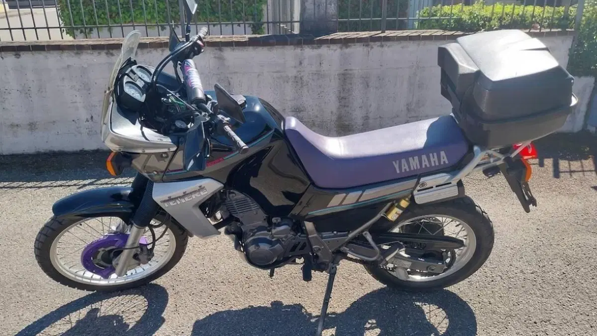 Yamaha XTZ 660 Téneré (1991 - 98)  (4)