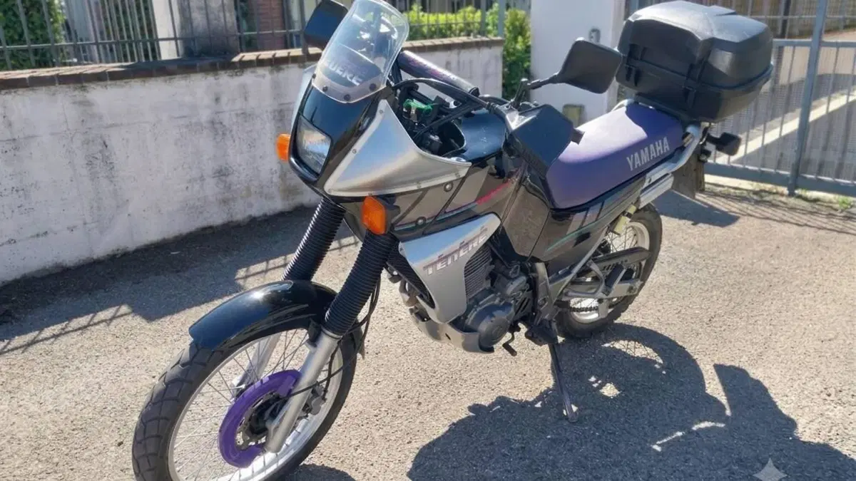 Yamaha XTZ 660 Téneré (1991 - 98)  (5)