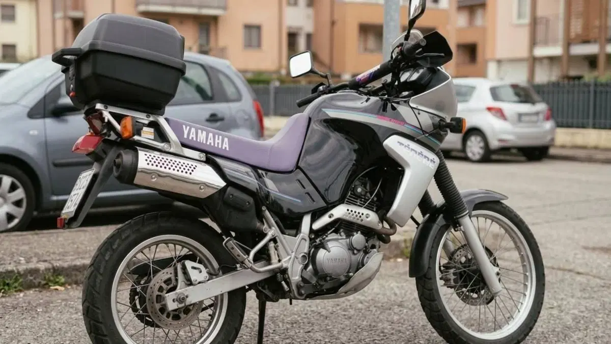 Yamaha XTZ 660 Téneré (1991 - 98)  (6)