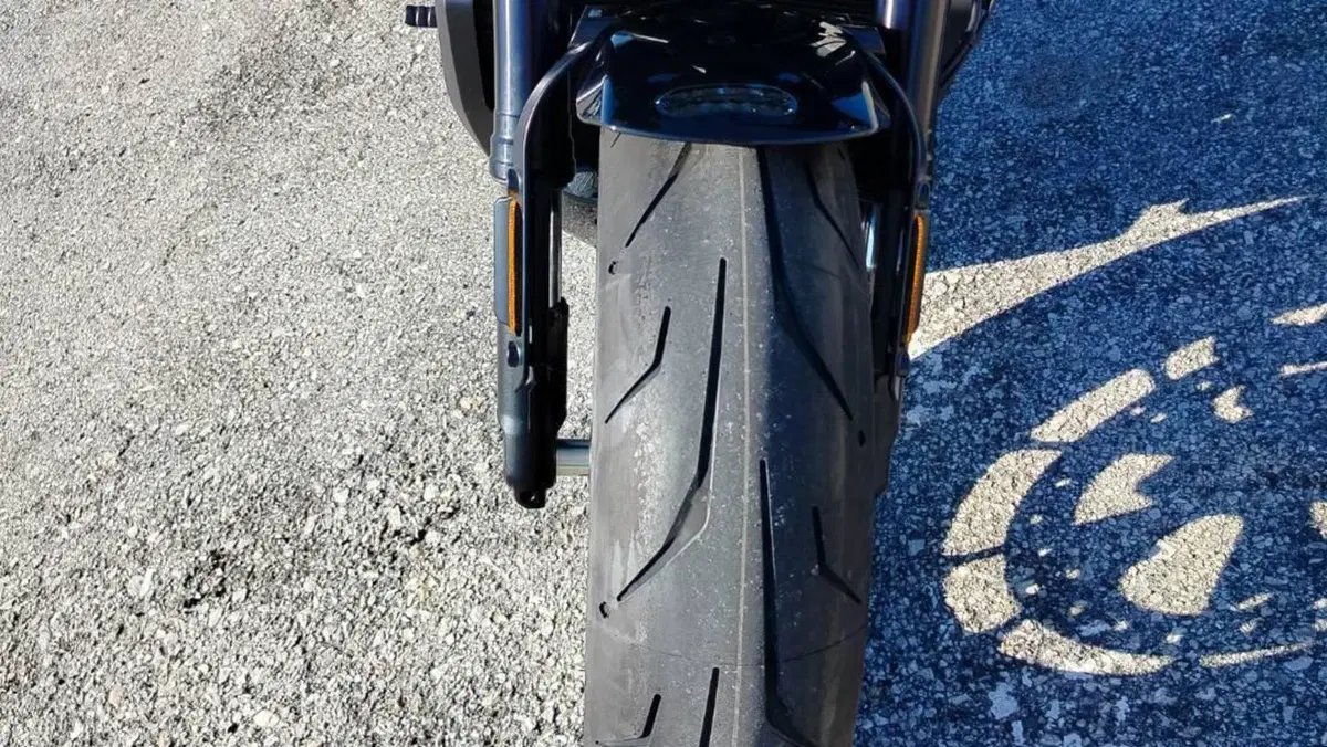 Harley-Davidson Sportster S (2025 - 26)  (14)