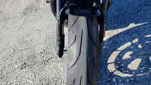 Harley-Davidson Sportster S (2025 - 26)  (14)