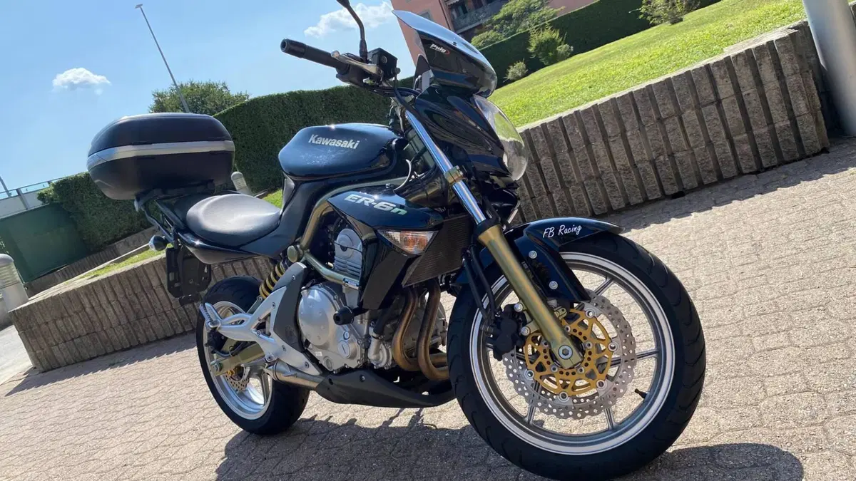 Kawasaki ER-6N (2006 - 09)  (2)