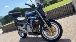 Kawasaki ER-6N (2006 - 09)  (2)