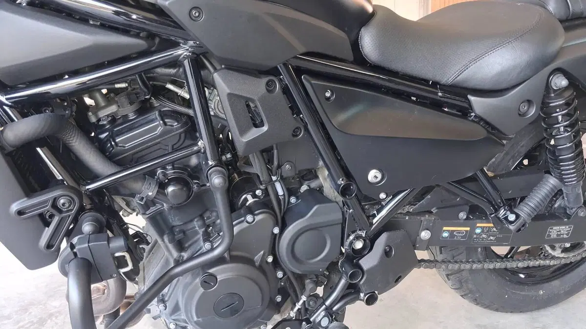 Kawasaki Eliminator 500 SE (2024 - 26)  (7)