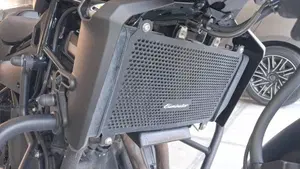 Kawasaki Eliminator 500 SE (2024 - 26)  (16)