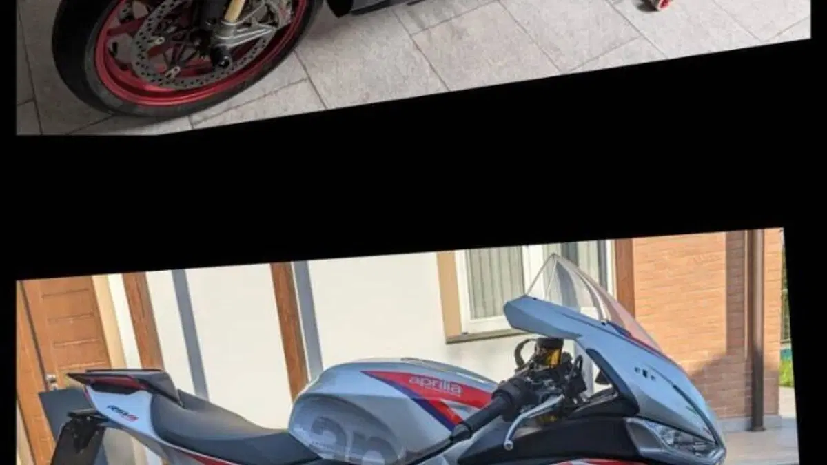 Aprilia RSV4 1100 Factory Speed White (2023 - 24)  (6)