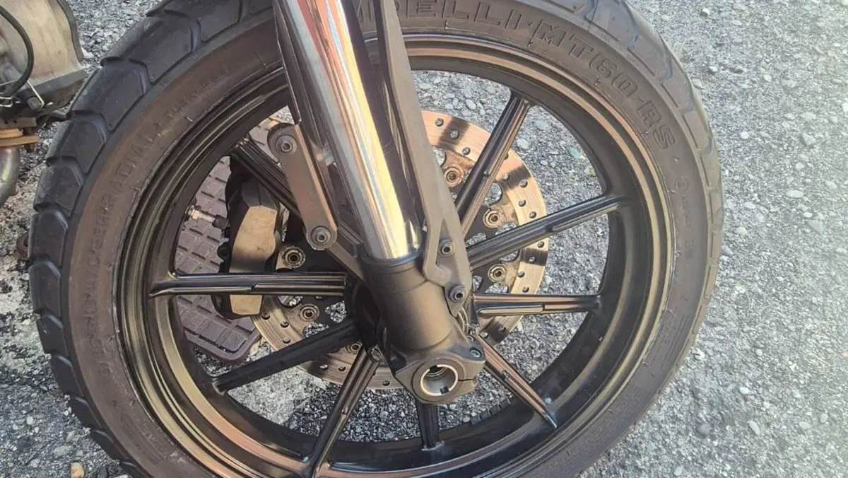 Ducati Scrambler 800 Classic (2015 - 16)  (5)