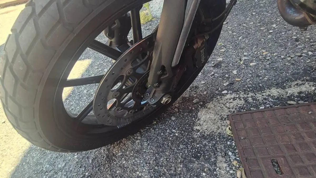 Ducati Scrambler 800 Classic (2015 - 16)  (9)