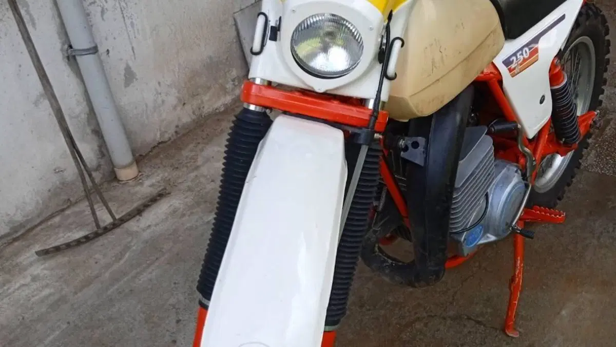 KTM   (9)