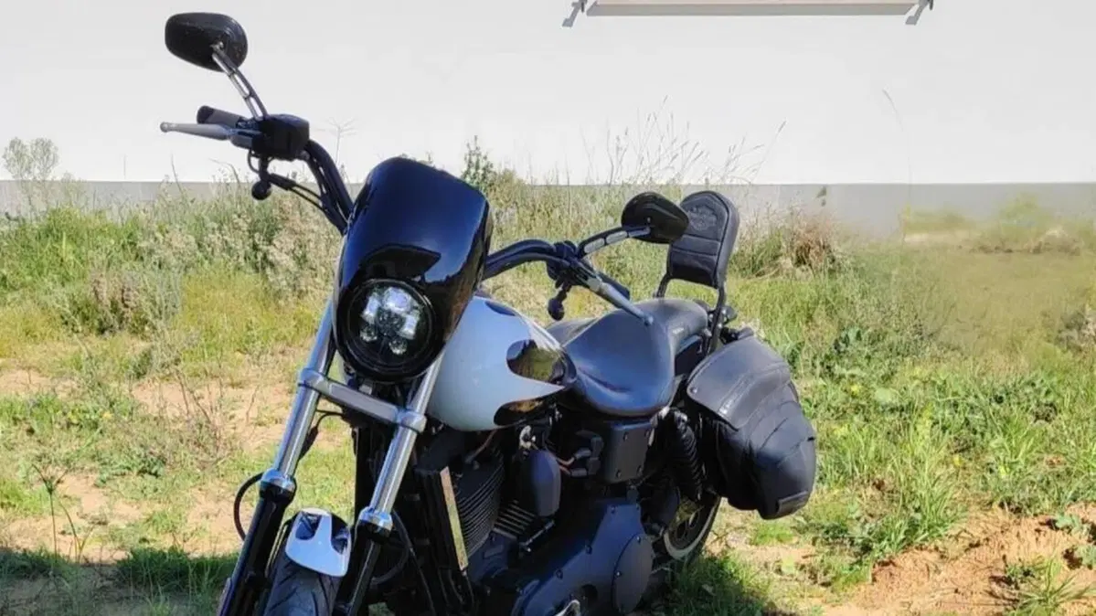 Harley-Davidson 1450 Super Glide T-Sport (2001 - 03) - FXDXT  (6)