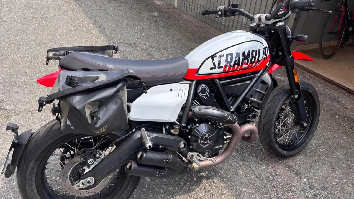 Ducati Scrambler 800 Urban Motard (2022)  (2)