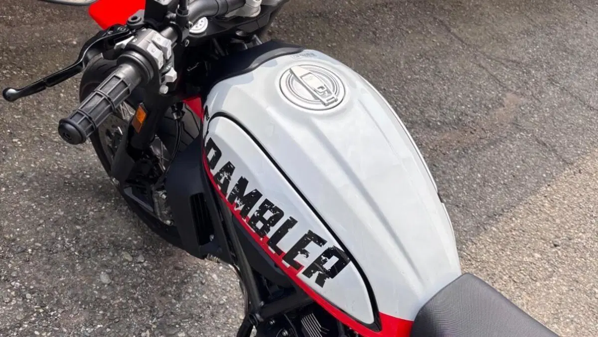 Ducati Scrambler 800 Urban Motard (2022)  (4)