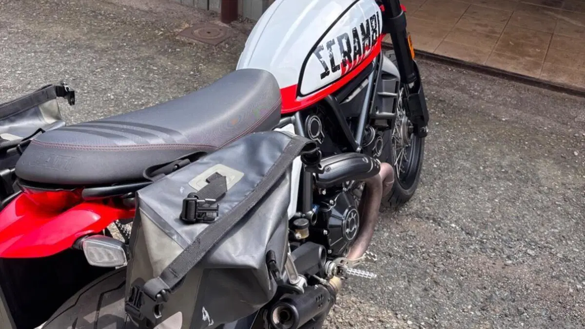 Ducati Scrambler 800 Urban Motard (2022)  (5)