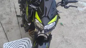 Kawasaki Z 650 (2020)  (9)