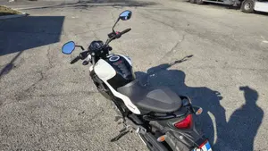 Suzuki Gladius 650 SFV (2009 - 15)  (3)