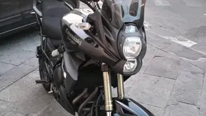Kawasaki Versys 650 ABS (2010 - 14)  (4)