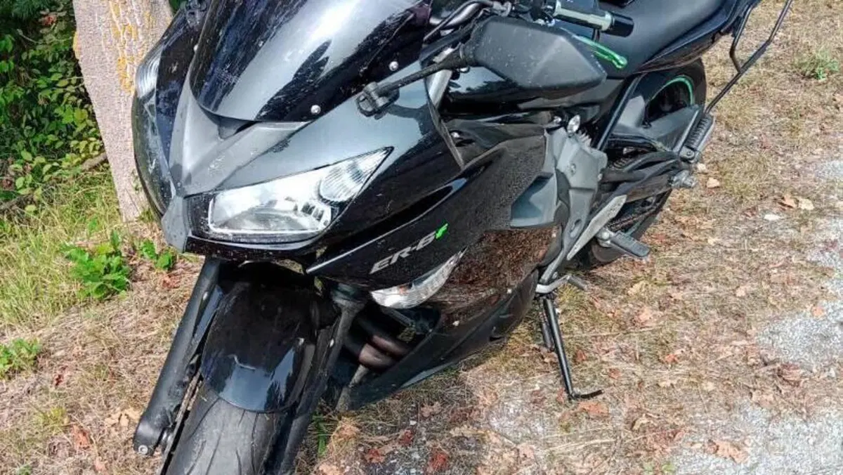 Kawasaki ER-6F (2009 - 11)  (2)