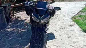 Kawasaki ER-6F (2009 - 11)  (6)