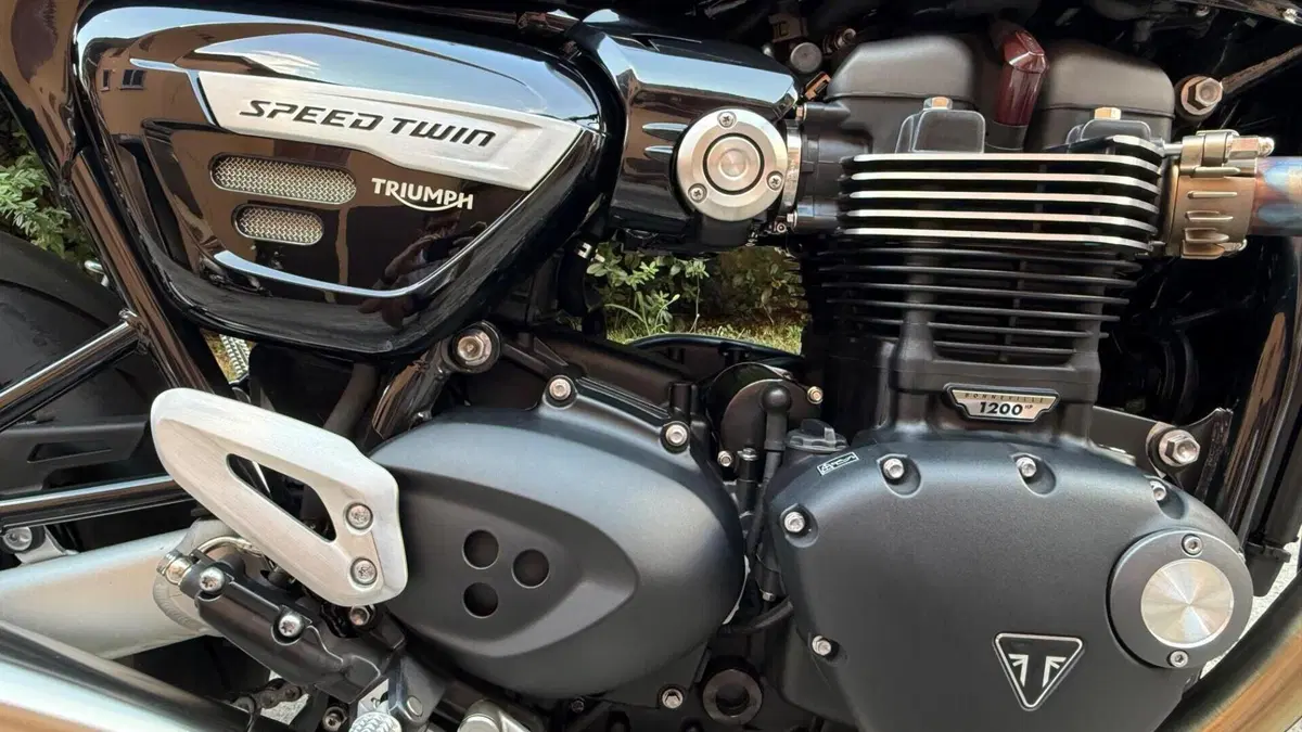 Triumph Speed Twin 1200 (2021 - 24)  (8)