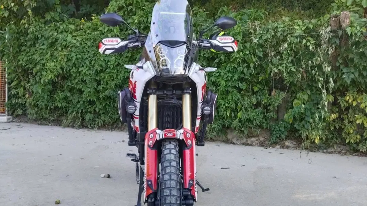 Yamaha Ténéré 700 (2019 - 20)  (4)