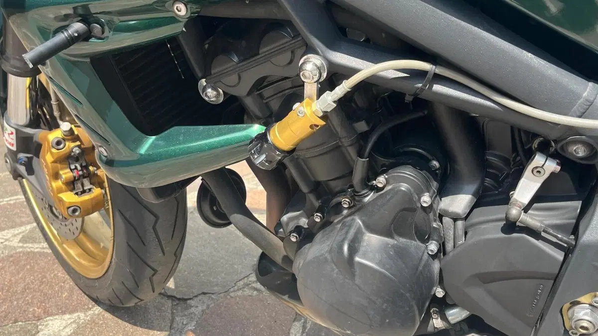 Triumph Street Triple R (2009 - 12)  (13)