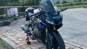 Yamaha YZF R125 (2019 - 20) 