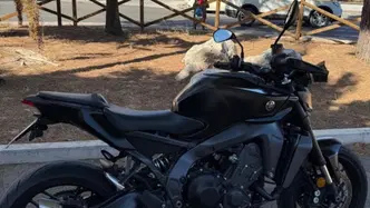 Yamaha MT-09 (2024 - 26) usata