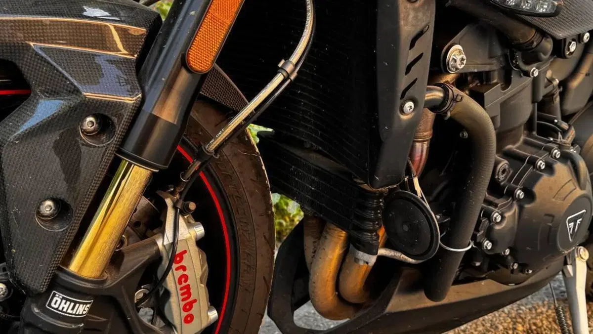 Triumph Speed Triple 1050 RS (2018 - 20)  (5)