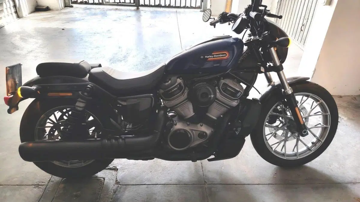 Harley-Davidson Nightster Special (2023 - 26) 