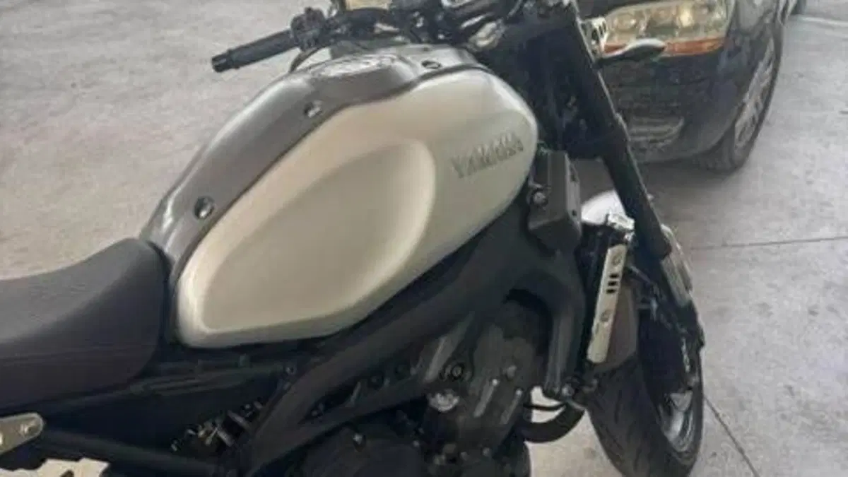 Yamaha XSR 900 ABS (2016 - 20)  (2)