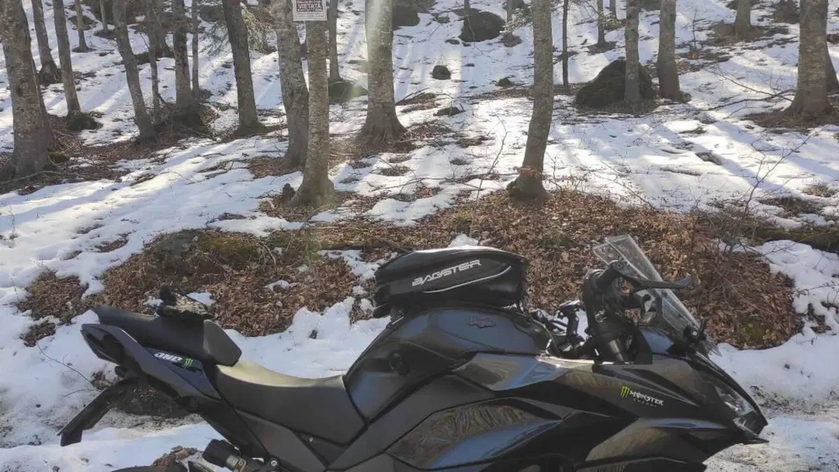 Kawasaki Ninja 1000 SX Tourer (2021 - 24)  (2)