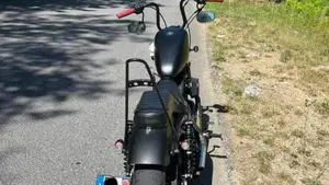 Harley-Davidson 883 Iron (2014 - 16) - XL 883N  (3)