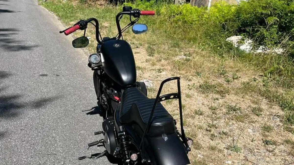 Harley-Davidson 883 Iron (2014 - 16) - XL 883N  (4)