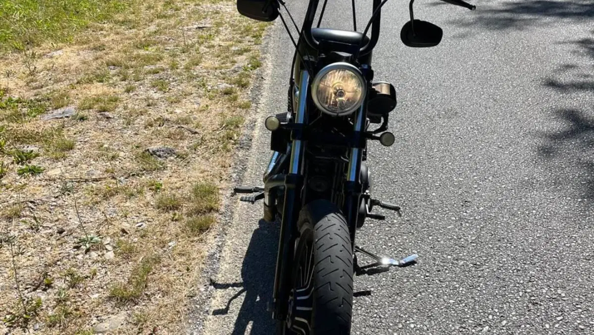 Harley-Davidson 883 Iron (2014 - 16) - XL 883N  (5)