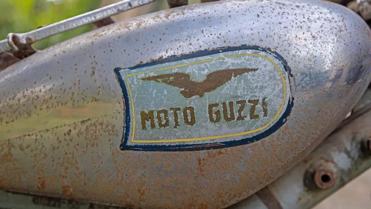 Moto Guzzi   (5)