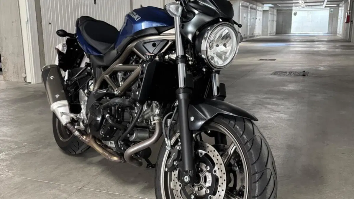 Suzuki SV650 (2021 - 24)  (4)