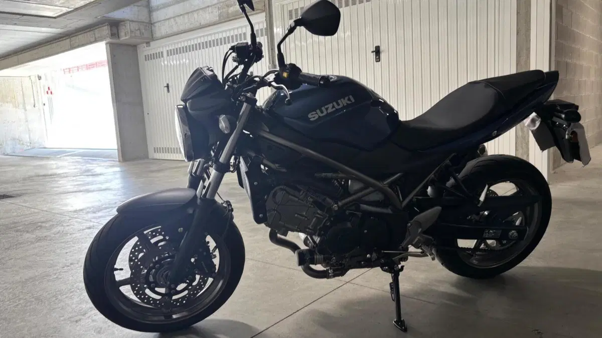 Suzuki SV650 (2021 - 24)  (6)
