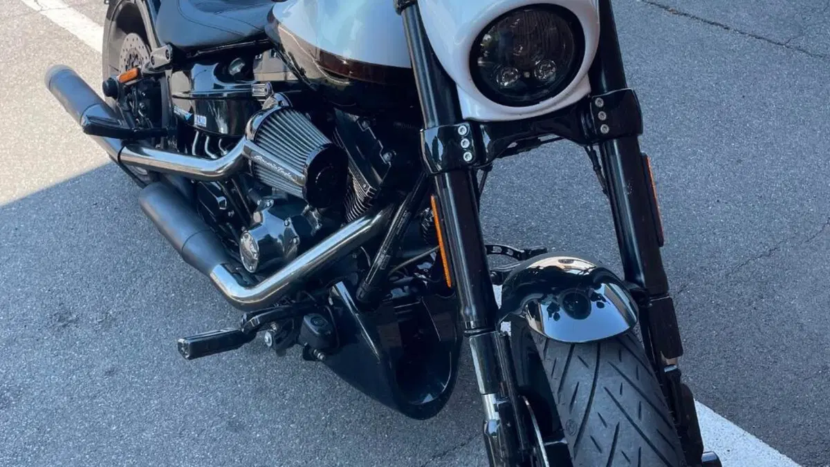 Harley-Davidson 1800 Breakout Pro Street (2016 - 17) - FXSBSE  (7)