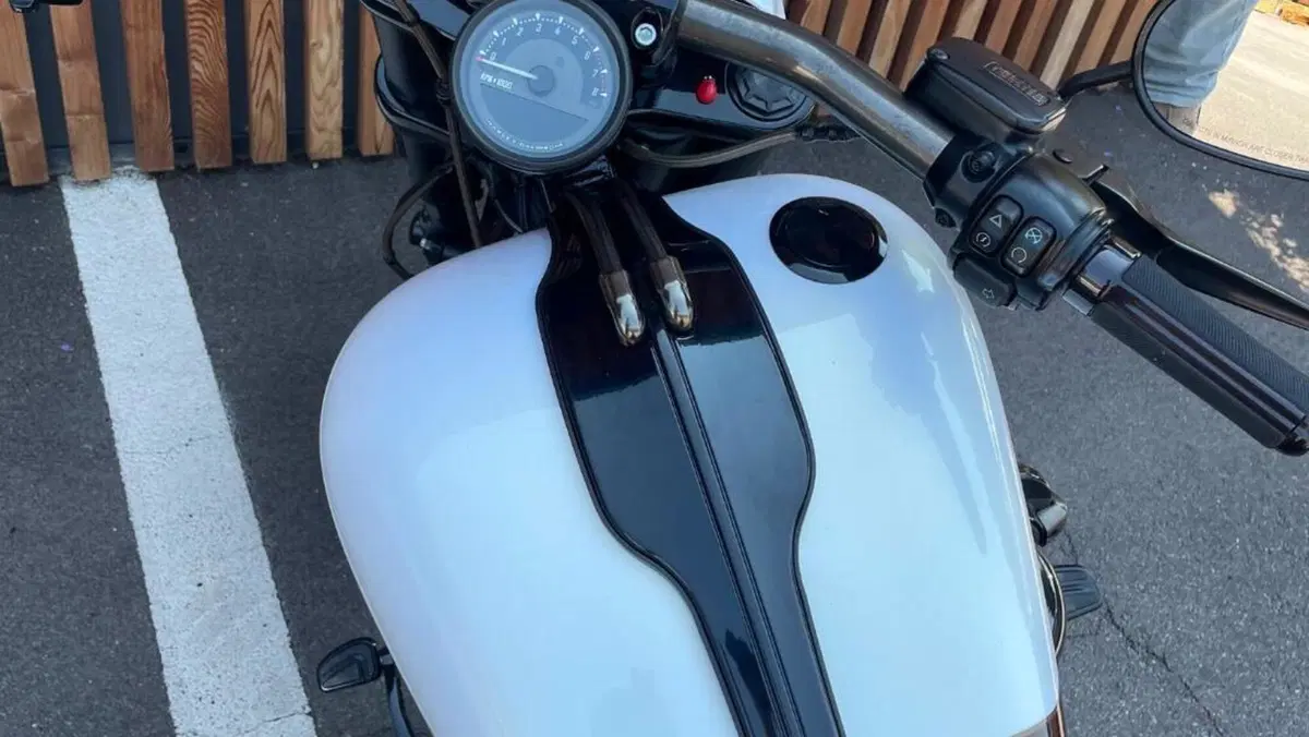 Harley-Davidson 1800 Breakout Pro Street (2016 - 17) - FXSBSE  (8)