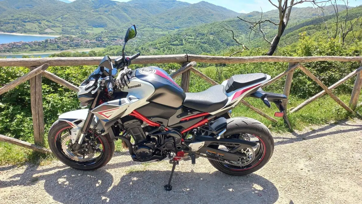 Kawasaki Z 900 (2021 - 24) 