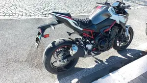 Kawasaki Z 900 (2021 - 24)  (3)