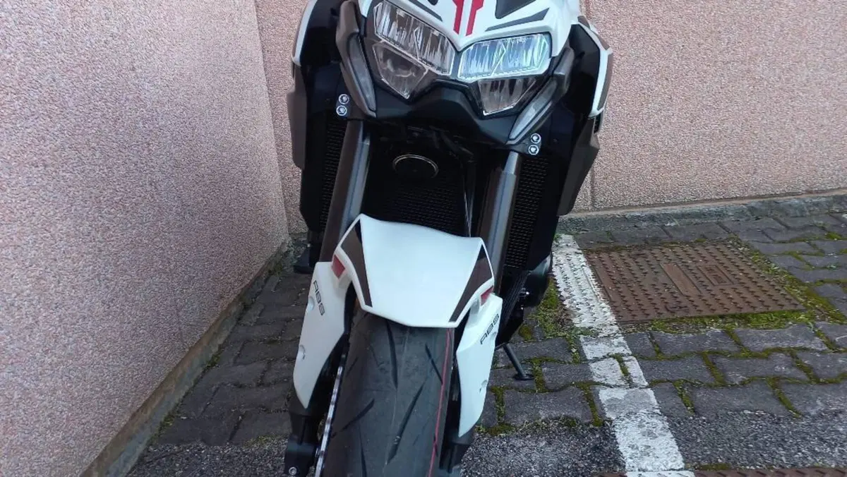 Kawasaki Z 900 (2021 - 24)  (4)