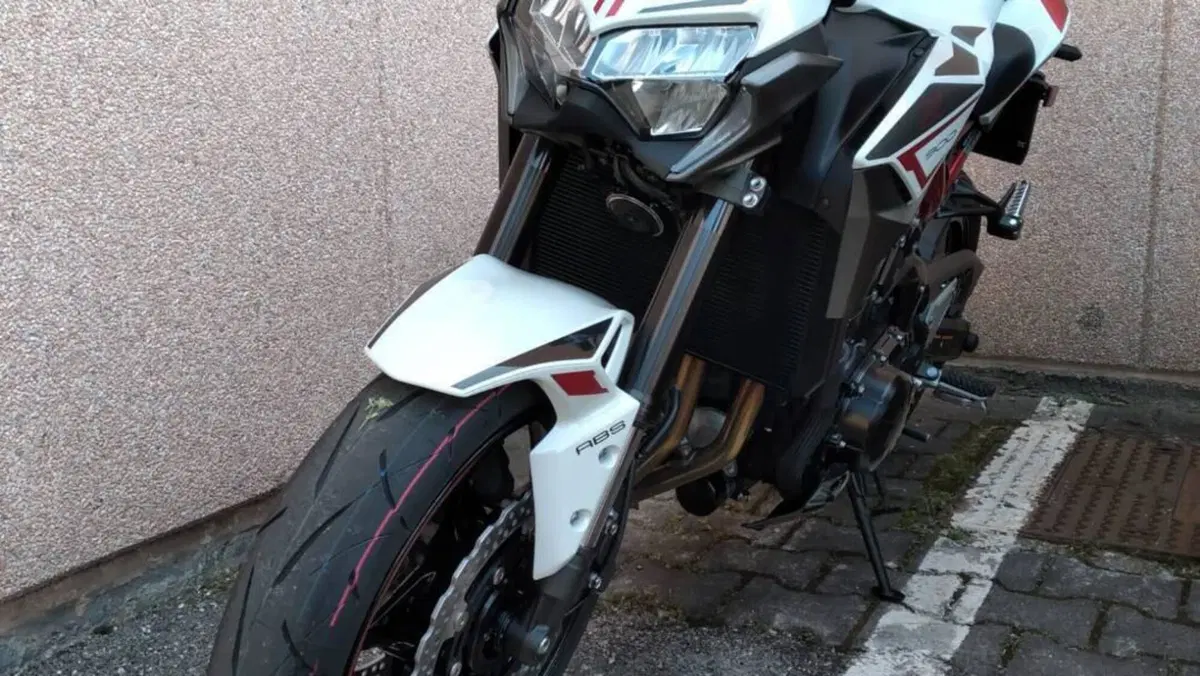 Kawasaki Z 900 (2021 - 24)  (5)