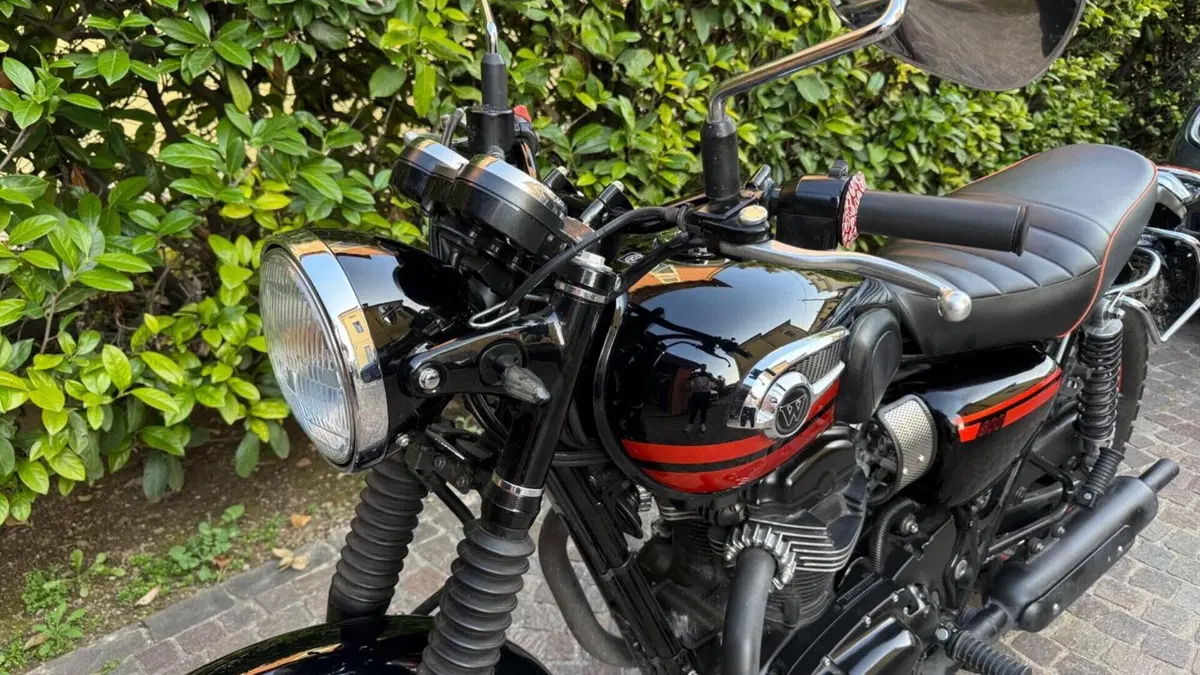Kawasaki W 800 (2010 - 17)  (5)