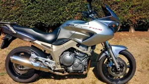 Yamaha TDM 900 (2002 - 14)  (2)