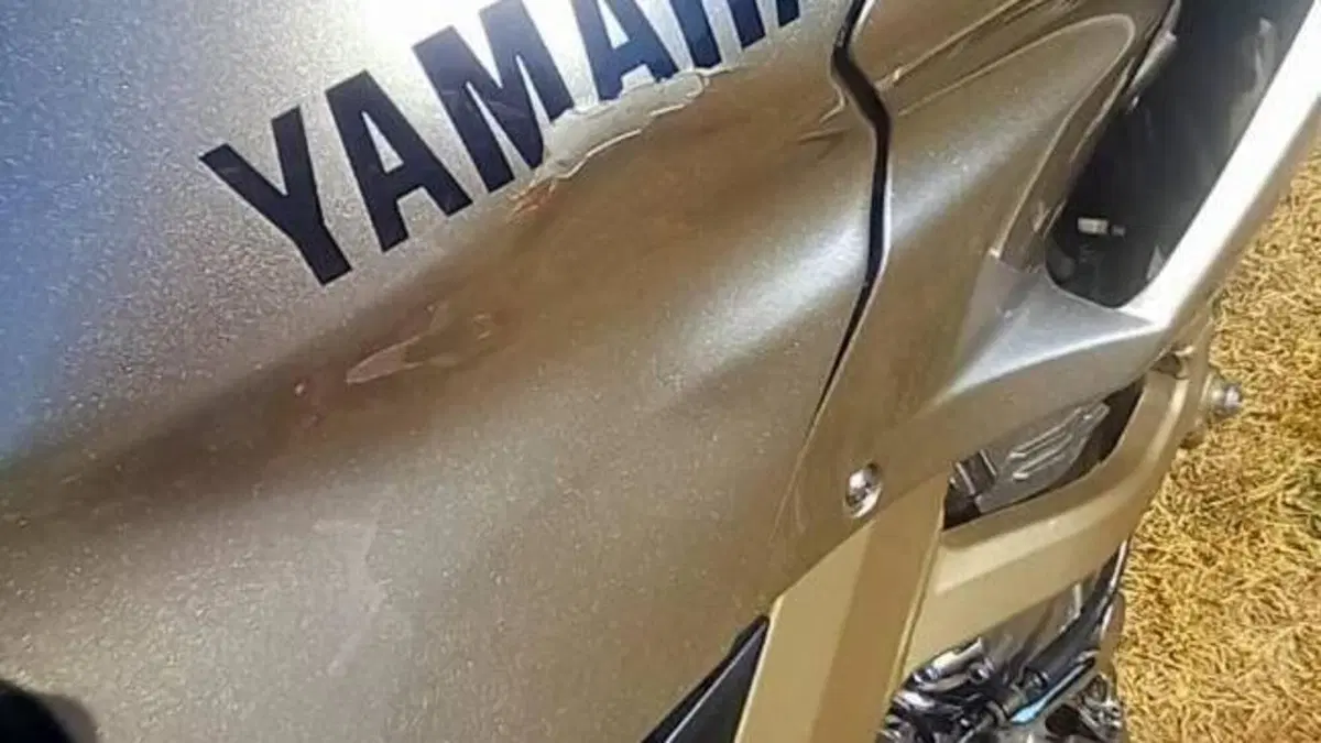 Yamaha TDM 900 (2002 - 14)  (10)