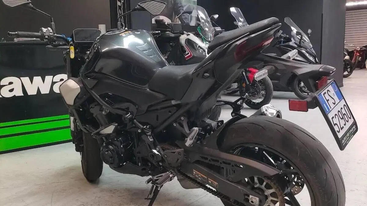 Kawasaki Z 900 (2025 - 26)  (5)