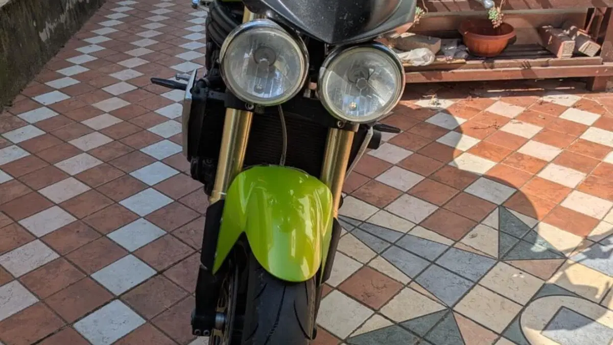 Triumph Speed Triple 1050 (2005 - 11) 